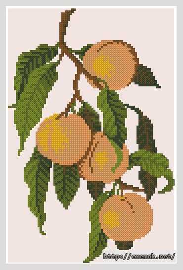 Download embroidery patterns by cross-stitch  - Персик