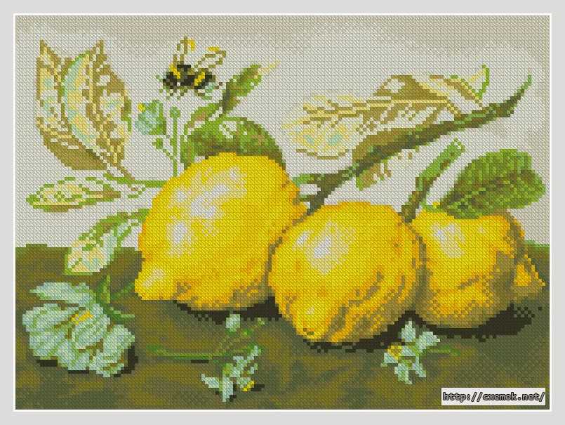 Download embroidery patterns by cross-stitch  - Сочные лимоны