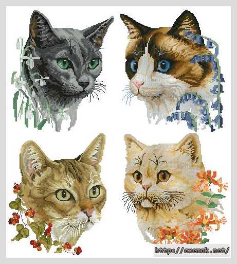 Download embroidery patterns by cross-stitch  - Кошки