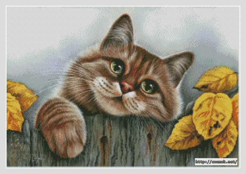 Download embroidery patterns by cross-stitch  - Котик