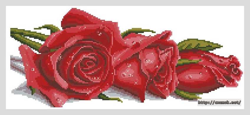 Download embroidery patterns by cross-stitch  - Розы в росе