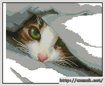 Download embroidery patterns by cross-stitch  - Спрятался, author 