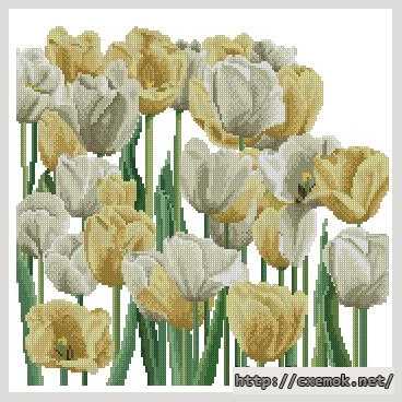 Завантажити схеми вишивки нитками / хрестом  - Белые и желтые тюльпаны
