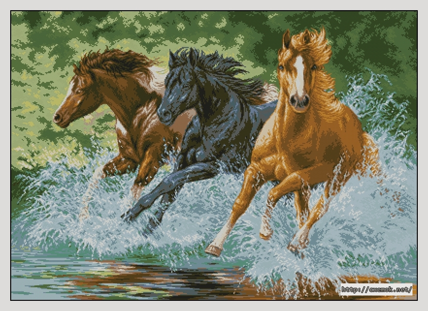 Download embroidery patterns by cross-stitch  - Cai in galop, author 