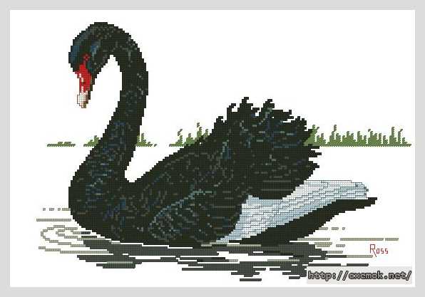 Download embroidery patterns by cross-stitch  - Черный лебедь