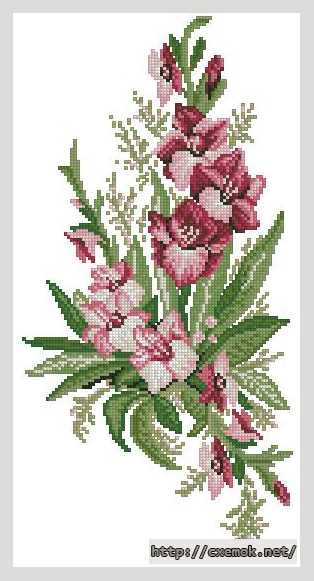 Download embroidery patterns by cross-stitch  - Гладиолусы
