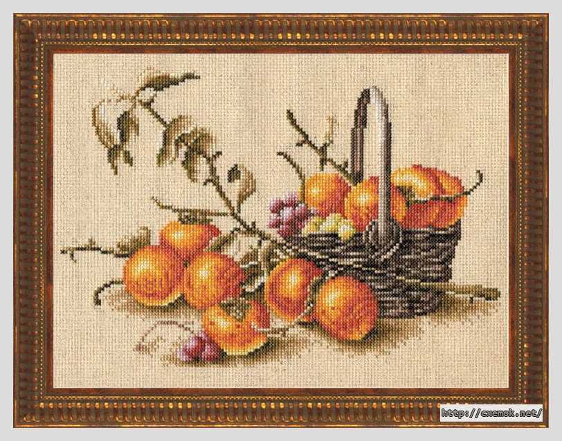 Download embroidery patterns by cross-stitch  - Хурма