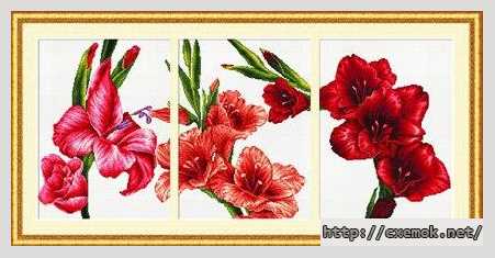 Download embroidery patterns by cross-stitch  - Гладиолусы