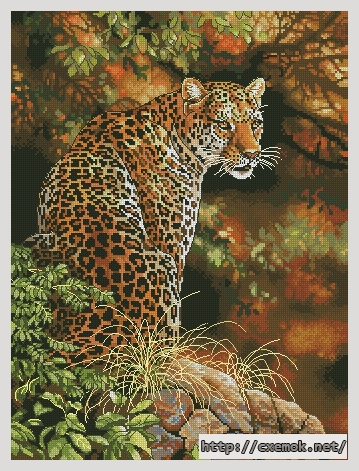 Скачать схемы вышивки нитками / крестом  - Leopard''s gaze, автор 