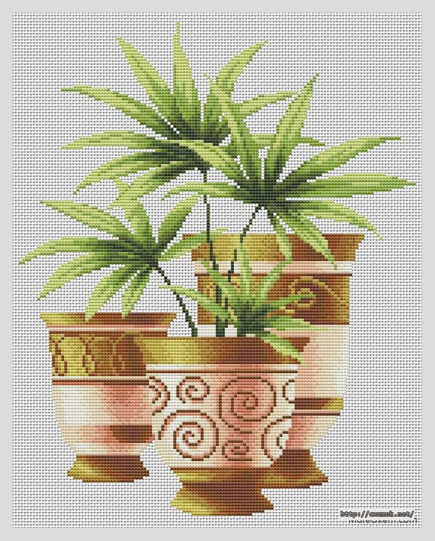 Download embroidery patterns by cross-stitch  - Три пальмы. шефлера