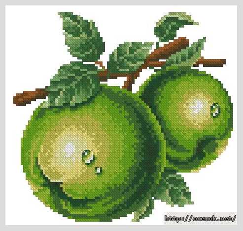 Download embroidery patterns by cross-stitch  - Зелёные яблоки