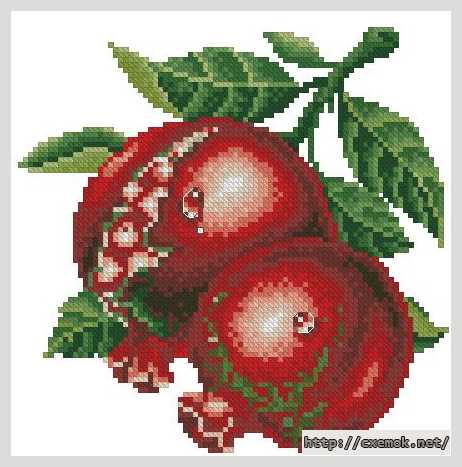 Download embroidery patterns by cross-stitch  - Гранат
