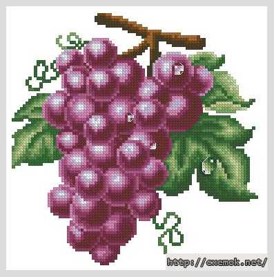 Скачать схему вышивки нитками Фиолетовый виноград