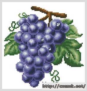 Download embroidery patterns by cross-stitch  - Синий виноград