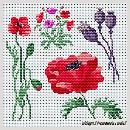 Download embroidery patterns by cross-stitch  - Les coquelicots, author 