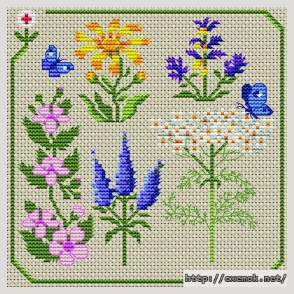 Download embroidery patterns by cross-stitch  - Plantes medicinales, author 