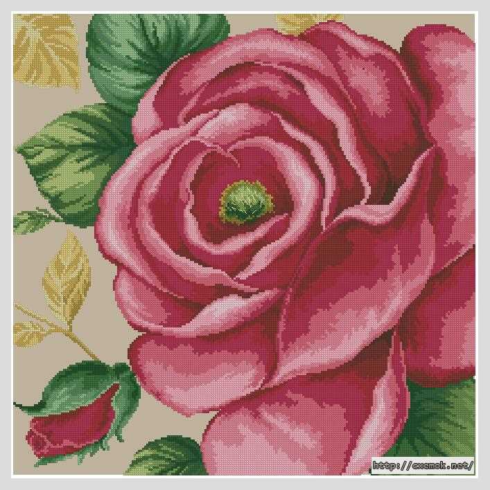 Завантажити схеми вишивки нитками / хрестом  - Розовая роза