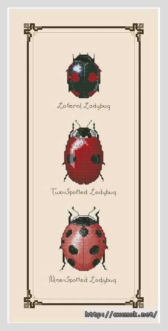 Download embroidery patterns by cross-stitch  - Панель с божьими коровками (2)