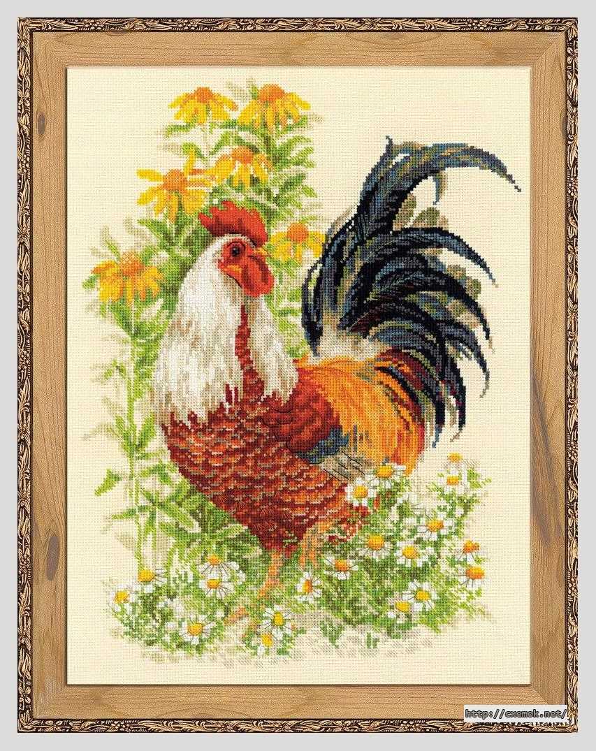 Download embroidery patterns by cross-stitch  - Петух