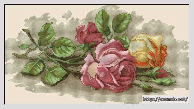 Download embroidery patterns by cross-stitch  - Розы