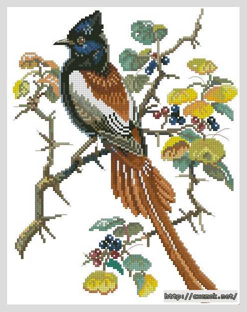 Download embroidery patterns by cross-stitch  - Птица