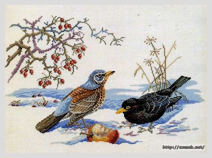 Скачать схему вышивки нитками Птицы на снегу