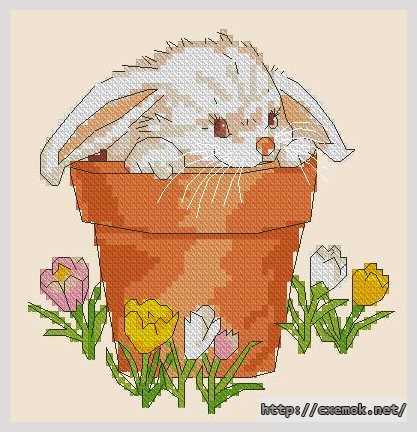 Download embroidery patterns by cross-stitch  - Кролик и крокусы