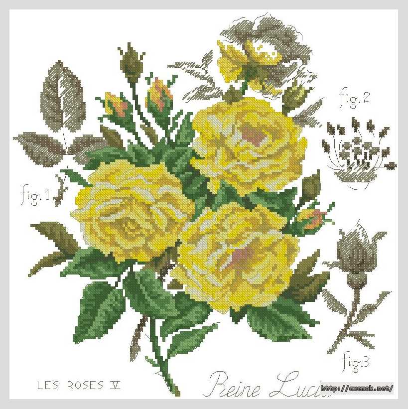 Завантажити схеми вишивки нитками / хрестом  - Желтая роза