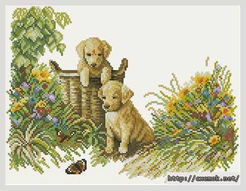 Download embroidery patterns by cross-stitch  - Невинные щенки