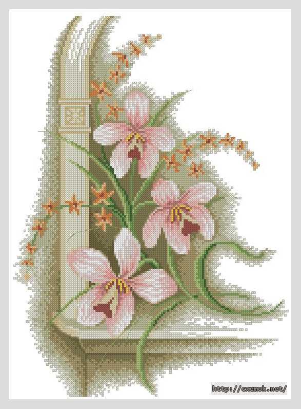 Download embroidery patterns by cross-stitch  - Орхидея