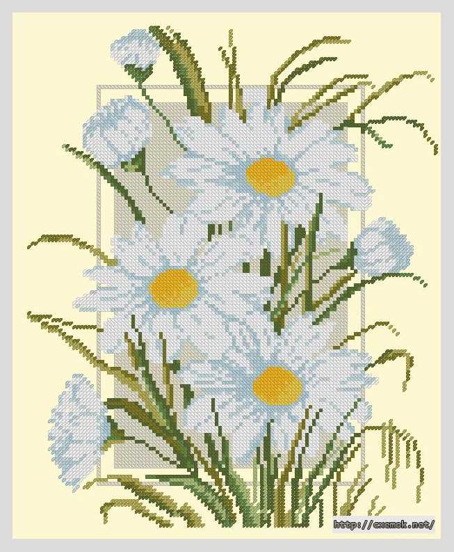 Download embroidery patterns by cross-stitch  - Ромашки