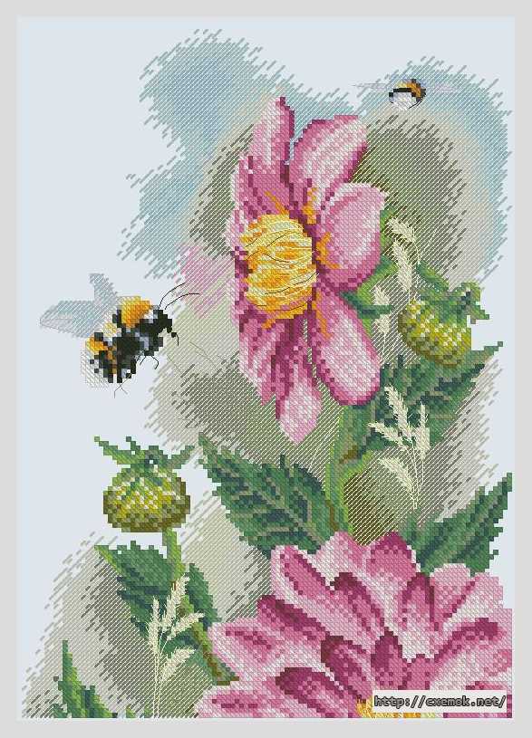 Download embroidery patterns by cross-stitch  - Пурпурная георгина