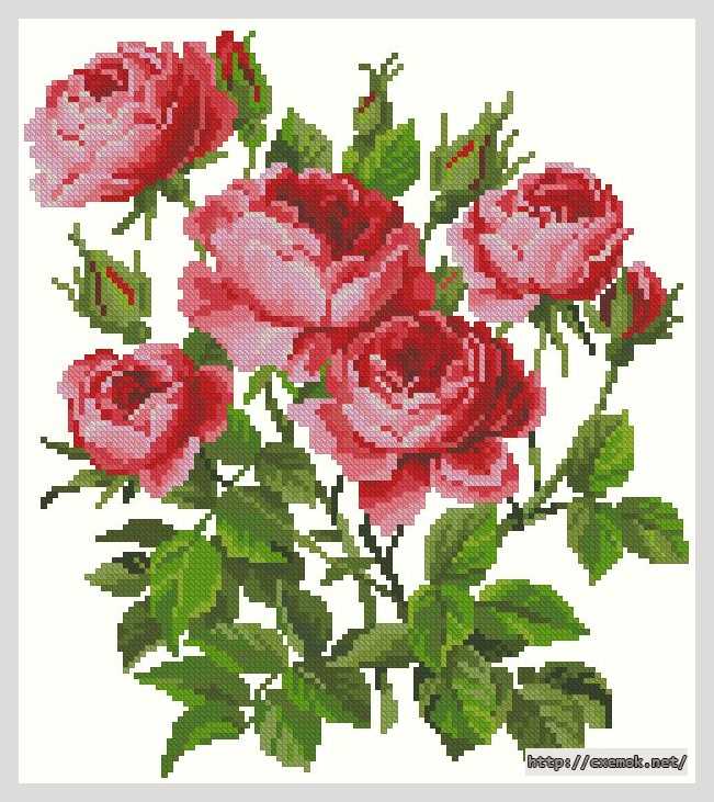 Download embroidery patterns by cross-stitch  - Садовые розы