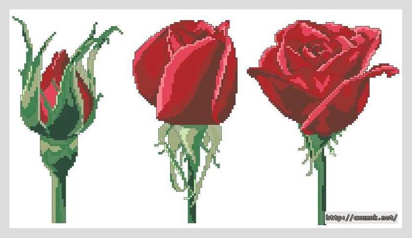 Download embroidery patterns by cross-stitch  - Триптих роза