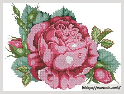 Download embroidery patterns by cross-stitch  - The ultimate rose, author 