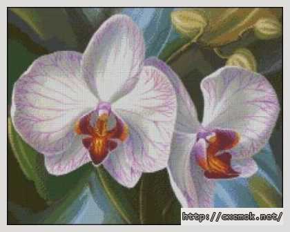 Завантажити схеми вишивки нитками / хрестом  - Белая орхидея