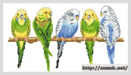 Download embroidery patterns by cross-stitch  - Разноцветные попугайчики