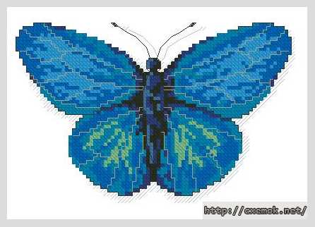 Скачать схему вышивки нитками Голубая бабочка