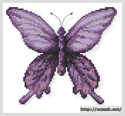 Скачать схему вышивки нитками Фиолетовая бабочка