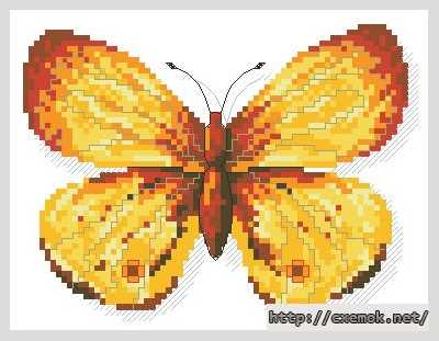 Завантажити схеми вишивки нитками / хрестом  - Огненная бабочка