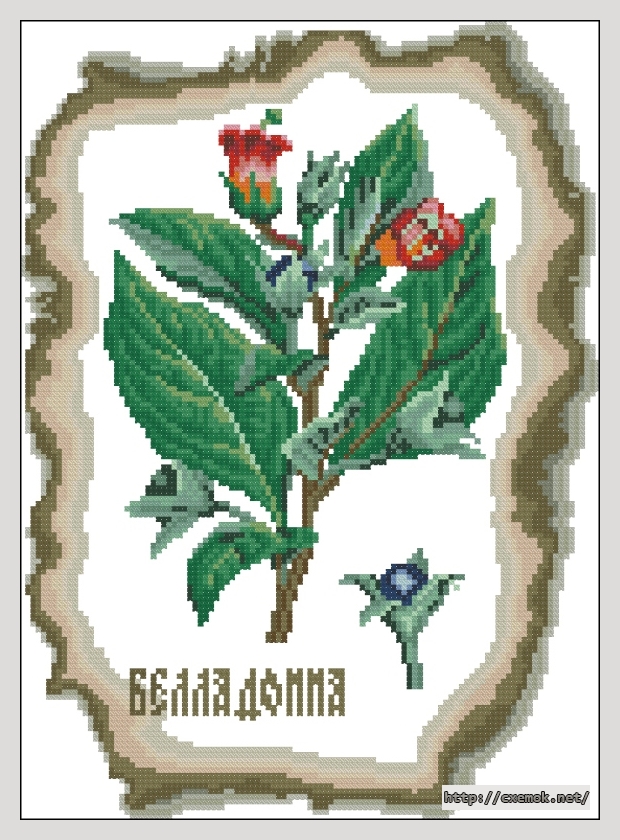 Download embroidery patterns by cross-stitch  - Беладонна, author 