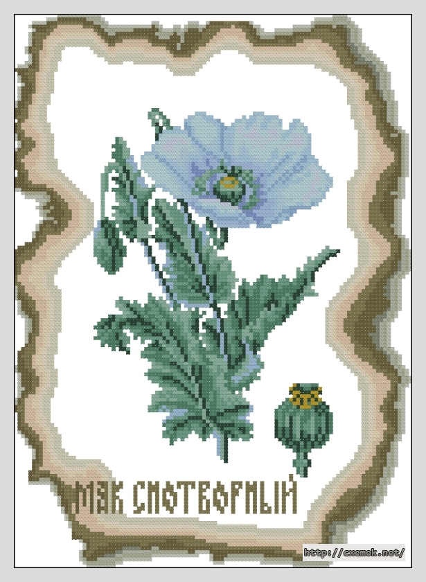 Download embroidery patterns by cross-stitch  - Мак снотворный, author 