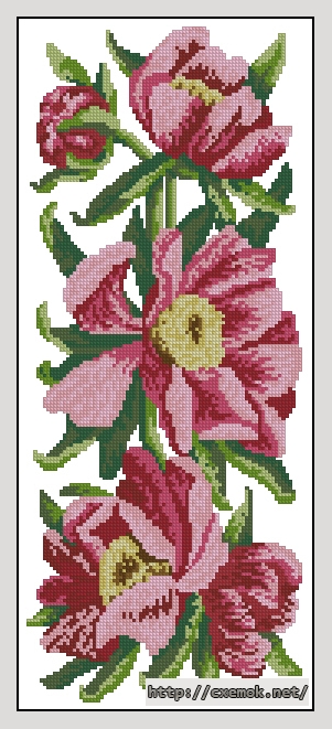 Download embroidery patterns by cross-stitch  - Пионы, author 