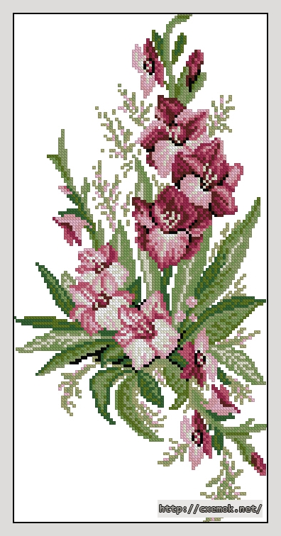 Download embroidery patterns by cross-stitch  - Гладиолусы, author 