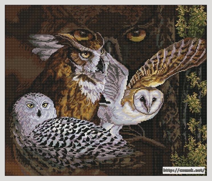 Download embroidery patterns by cross-stitch  - Совиный взгляд, author 