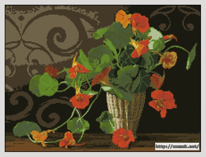 Download embroidery patterns by cross-stitch  - Настурции, author 