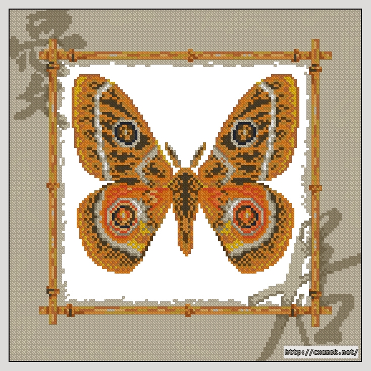Download embroidery patterns by cross-stitch  - Buaeopsis princep, author 
