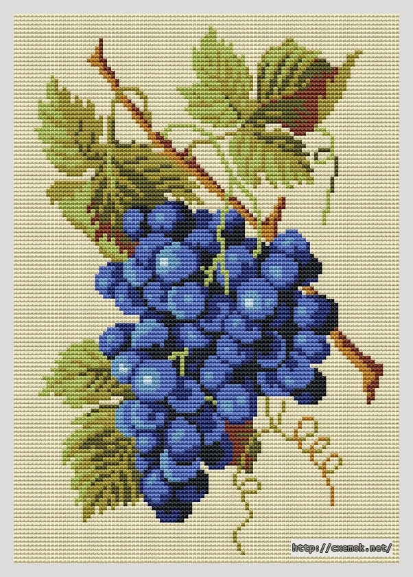 Download embroidery patterns by cross-stitch  - Grape