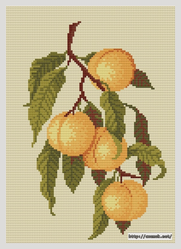 Download embroidery patterns by cross-stitch  - Peaches