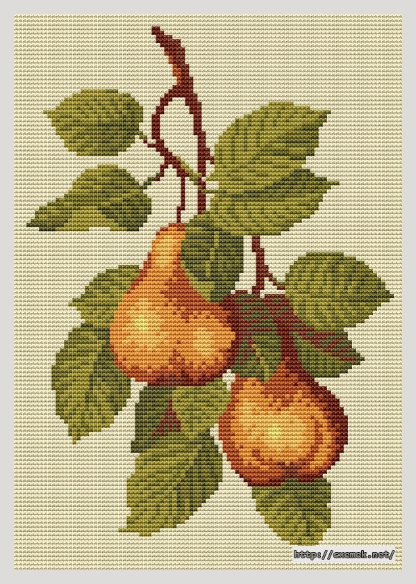 Download embroidery patterns by cross-stitch  - Pears.3